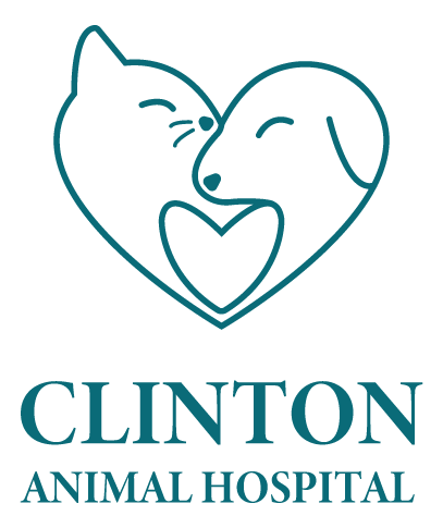 Veterinarian in Clinton, SC | Quality Pet Care